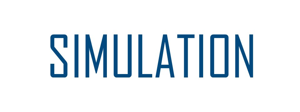 Simulation